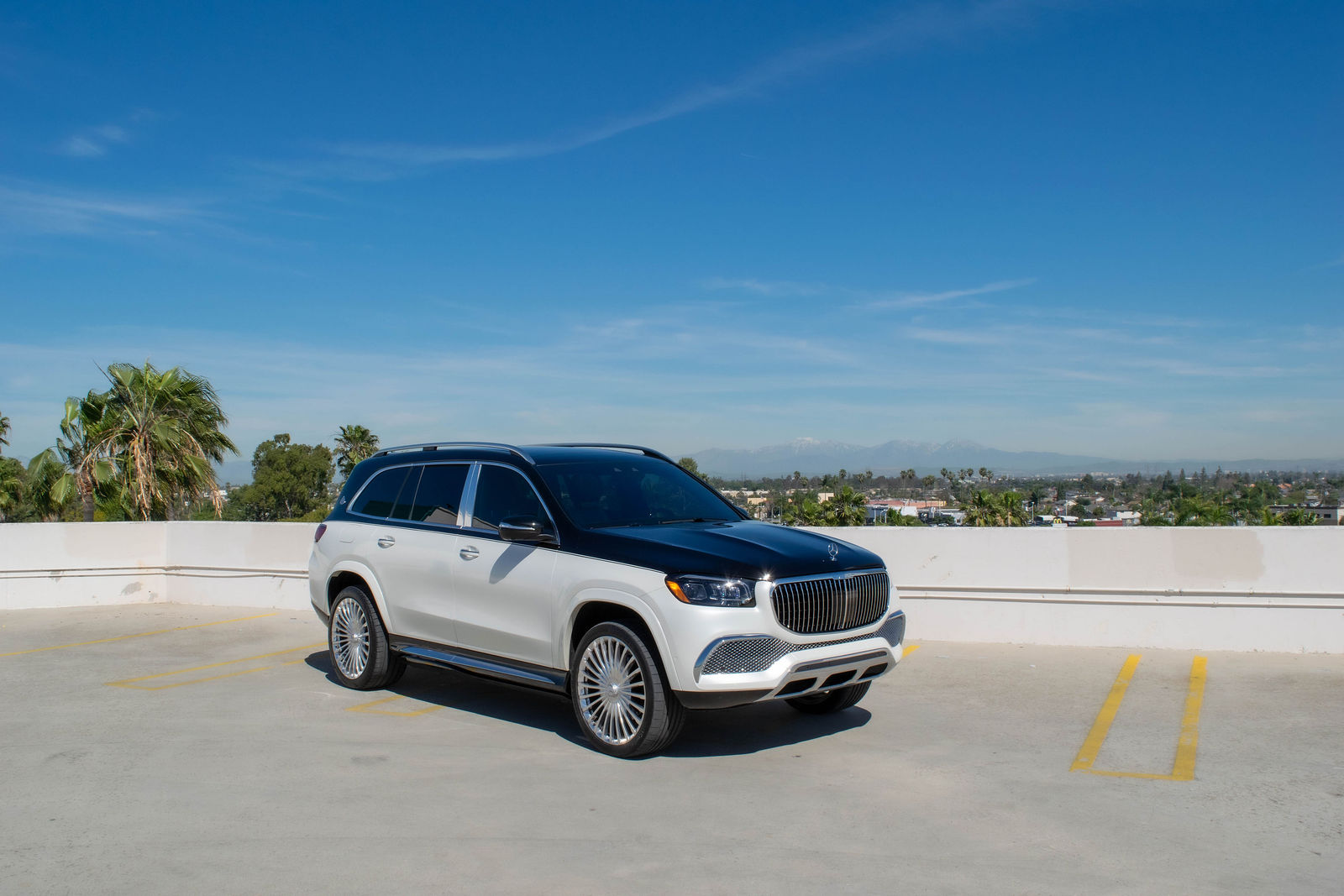 2022 Mercedes-Benz GLS 600 Maybach (2-Tone) photo 2