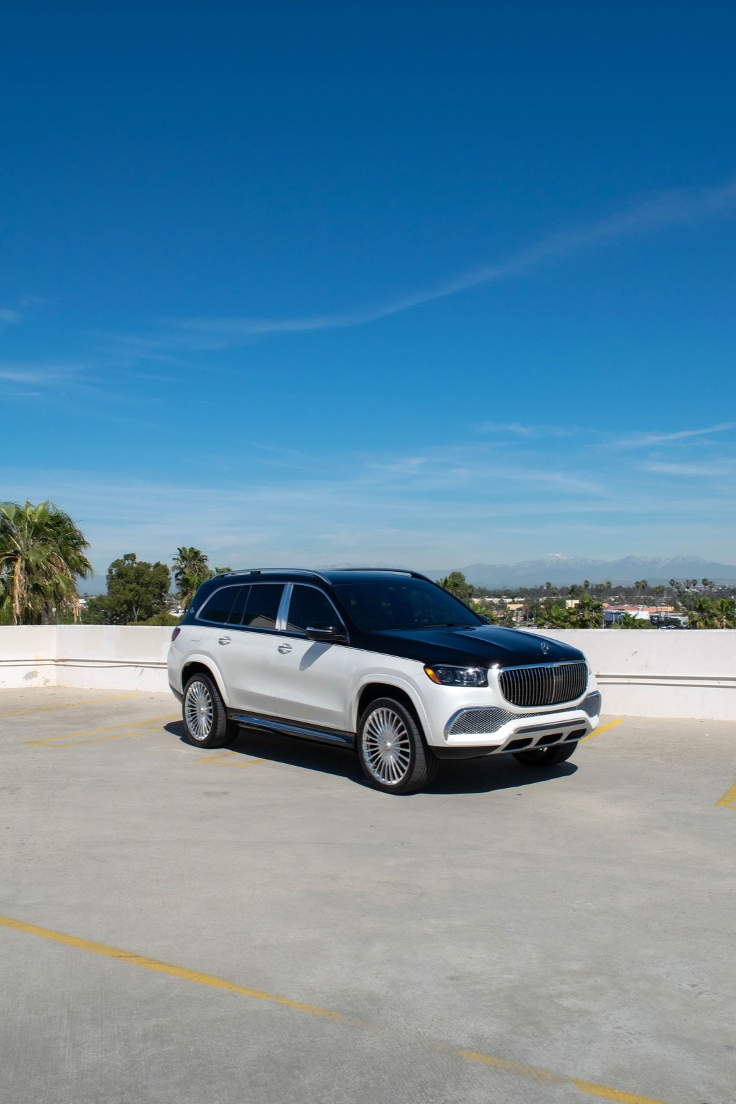 2022 Mercedes-Benz GLS 600 Maybach (2-Tone) photo 5
