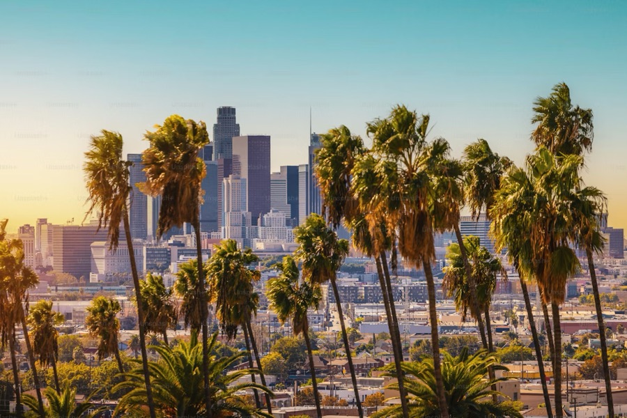 Los Angeles skyline with palm trees